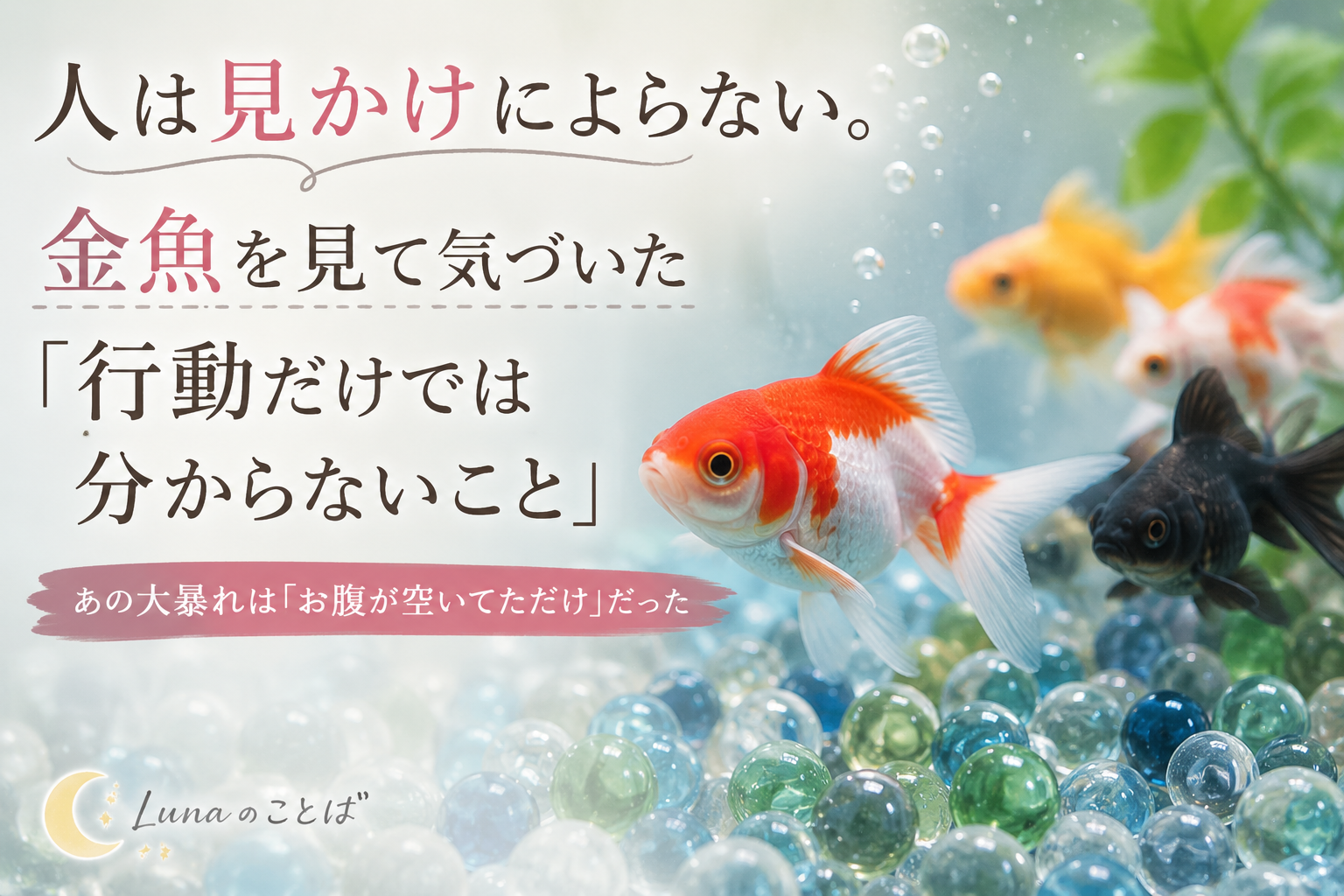 人は見かけによらない